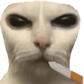 🚬