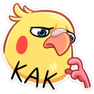 🤔 КАК นก, ค็อกกาเทล, นกแก้ว, มีม, ตลก telegram sticker