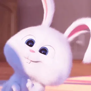 ☁️ Snowball The Secret Life of Pets coniglio, carino, animale, cartone animato, cattivo, dito medio, animato whatsapp sticker