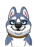 🐶