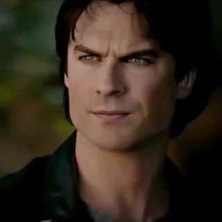 🩸 Damon Salvatore The Vampire Diaries vampire, tv show, supernatural, drama, fantasy, Ian Somerhalder telegram sticker
