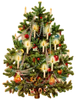 🎄 natale, albero di natale, decorazioni natalizie, candele, vacanze, decorazioni whatsapp sticker