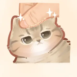✨ karebeans gato, animal de estimação, animal, fofo, adesivo, gatinho telegram sticker