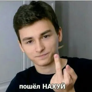 🌟 пошёл НАХУЙ dedo do meio, gesto ofensivo, insulto, palavrão, russo, zangado telegram sticker