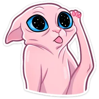 ✅ cat, sphynx, sticker, cute, funny, eyes, galaxy telegram sticker