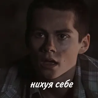 🦊 нихуя себе telegram sticker