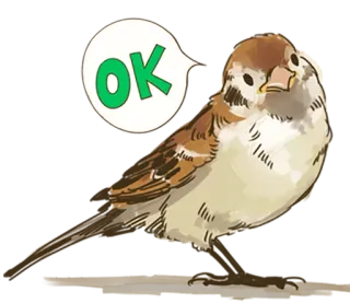 👌 OK птица, ОК, воробей, одобрение whatsapp sticker