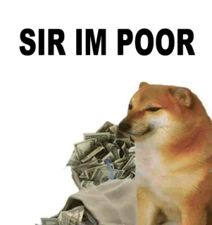 😤 Cheems Doge Meme SIR IM POOR telegram sticker