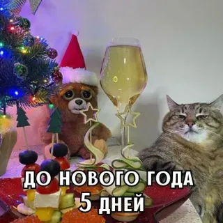 🎄 ДО НОВОГО ГОДА 5 ДНЕЙ nouvel an, fêtes, chat, sapin noël, festif, décoration whatsapp sticker