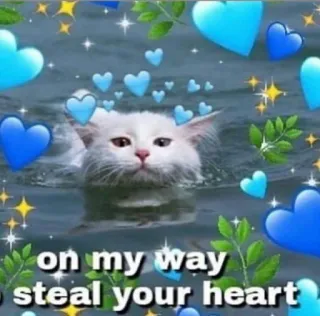 💗 on my way to steal your heart kucing, hati, cinta, meme, imut, hewan peliharaan, hewan telegram sticker
