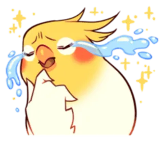 😭 นก, นกค็อกคาเทล, เศร้า, ร้องไห้, น้ำตา, อิโมจิ, สติกเกอร์ telegram sticker