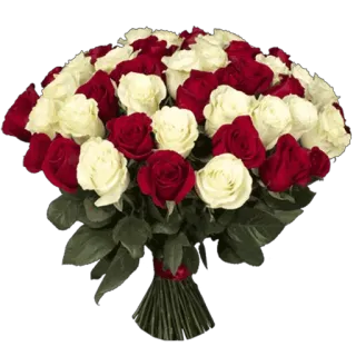 🌹 flowers, roses, bouquet, red, white whatsapp sticker