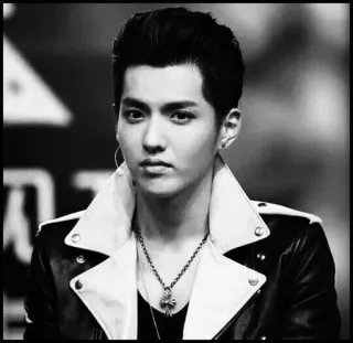 ➿ Kris Wu Kris Wu, cantante, attore, celebrità, ritratto, bianco e nero telegram sticker