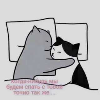 🤗 когда-нибудь мы будем спать с тобой точно так же.... chats, dormir, amour, dessin animé, mignon telegram sticker
