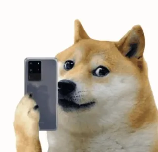 ๐ Doge Internet meme telegram sticker