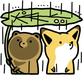 ☔ 動物, タヌキ, キツネ, かわいい, 可愛い, 友情 telegram sticker