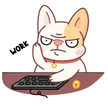 👨💻