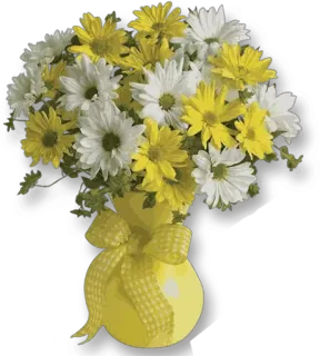 🌹 flowers, daisies, bouquet, yellow, white, vase whatsapp sticker