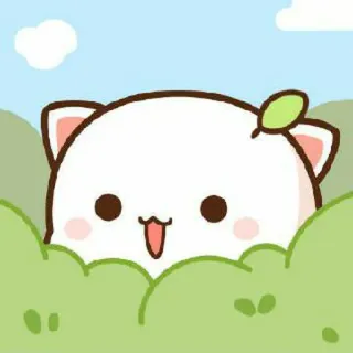 🍓 kucing, lucu, binatang, stiker, kartun whatsapp sticker