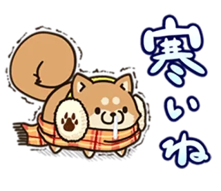 🐶 寒いね Hund, Shiba Inu, Schal, süß, Winter, kalt, japanisch, Tier telegram sticker