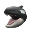 🦈