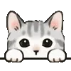 🐱