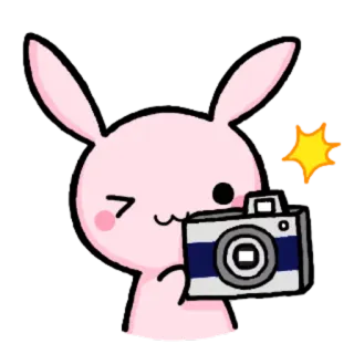 😎 lapin, appareil photo, mignon, dessin animé, rose, animal, photographie whatsapp sticker
