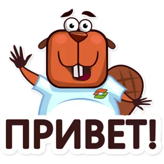 👋 ПРИВЕТ! บีเวอร์, การ์ตูน, สวัสดี, รัสเซีย, ทักทาย, เป็นมิตร telegram sticker