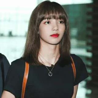 🌿 Lisa лиса, blackpink, kpop, певица, знаменитость telegram sticker