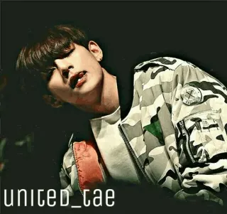 🦄 united_tae person, camouflage, jacke, fan, porträt whatsapp sticker