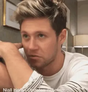 🎸 Niall Horan Niall Horan Updates Tweeted Niall Horan, cantor, estrela pop, músico telegram sticker