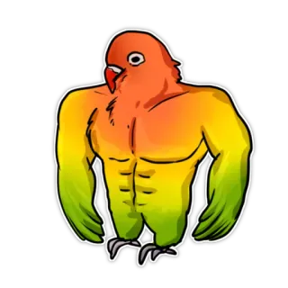 💪 Papagei, muskulös, Vogel, stark, lustig, Cartoon whatsapp sticker