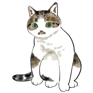🥸 猫, 動物, ペット, 飼い猫, ネコ科, 哺乳類 telegram sticker