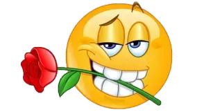 🤨 emoji, rose, smile, love, romance whatsapp sticker