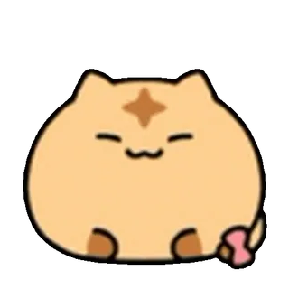 🐱