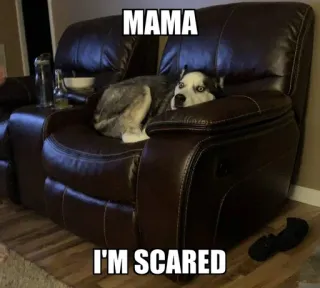 😨 MAMA I'M SCARED telegram sticker