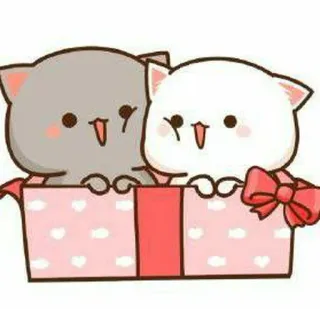 🍓 kucing, kotak, imut, binatang, kawaii, kartun, stiker whatsapp sticker