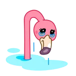 🥲 นกฟลามิงโก, เศร้า, ร้องไห้, การ์ตูน telegram sticker