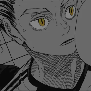 🦉 Anime, Manga, Personage, Portret, Volleybal telegram sticker