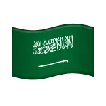 🇸🇦