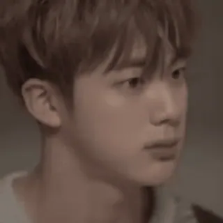 🌺 Jin kpop, 가수, 아이돌, 남성, 인물사진 telegram sticker