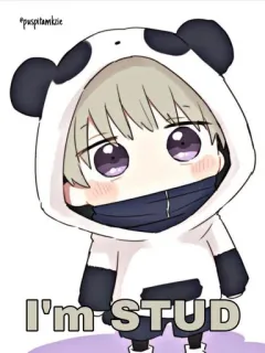 😈 I'm STUD 애니메이션, 팬더, 귀여운, 만화, 소년 whatsapp sticker