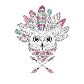 🦉 owl, feathers, animal, arrow, native american telegram sticker