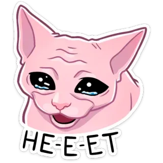 🙅‍♂️ HEE HEE Katze, weinend, traurig, Meme, Bingus telegram sticker