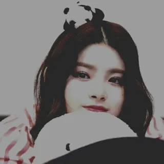 💎 kpop, ritratto, idol, donna, carino, panda telegram sticker
