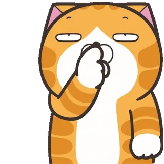 🙄 猫, 困, 打哈欠, 卡通, 橙色 telegram sticker