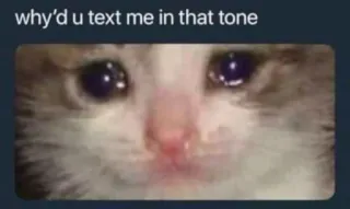 😢 why'd u text me in that tone кот, мем, грустный, плач, тон, текст, интернет telegram sticker