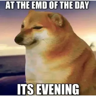 🐦 AT THE END OF THE DAY ITS EVENING doge, meme, chó, buổi tối, hoàng hôn, hài hước telegram sticker