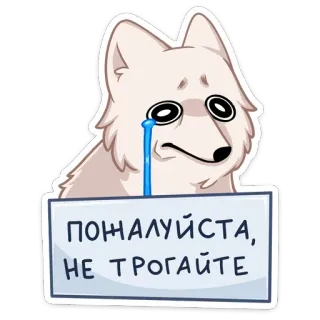 😭 ПОЖАЛУЙСТА, НЕ ТРОГАЙТЕ triste, cane, per favore, piangere, carino, animale telegram sticker