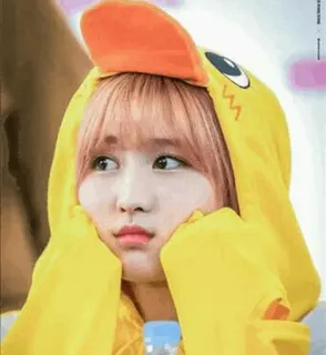🐤 canard, capuche, mignon, fille, jaune, orange telegram sticker